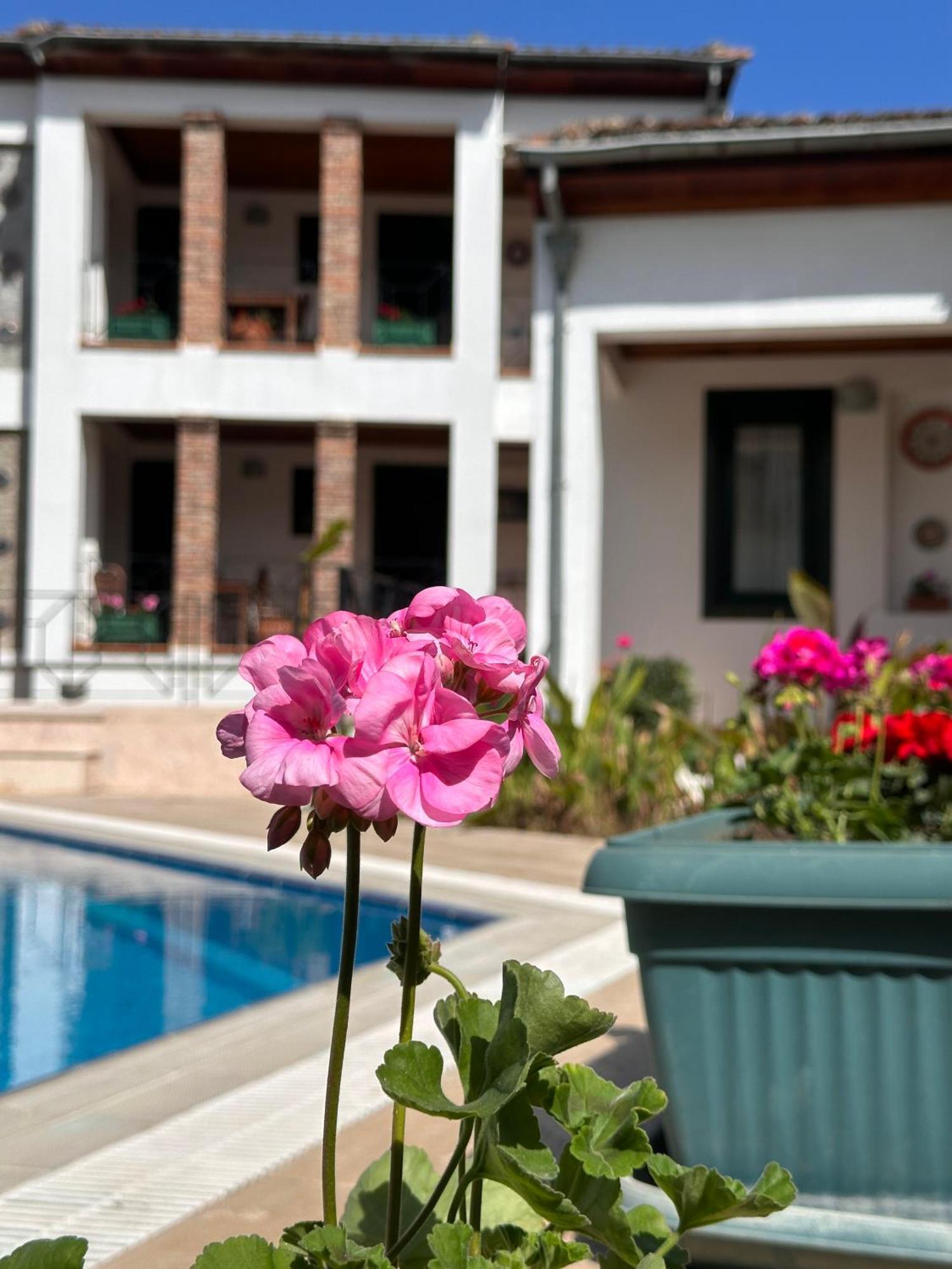 Akay Hotel Selçuk Exterior foto